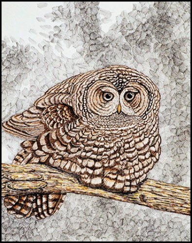 Owl Study #1 - Colored ink on paper, 14" x 17", 2003