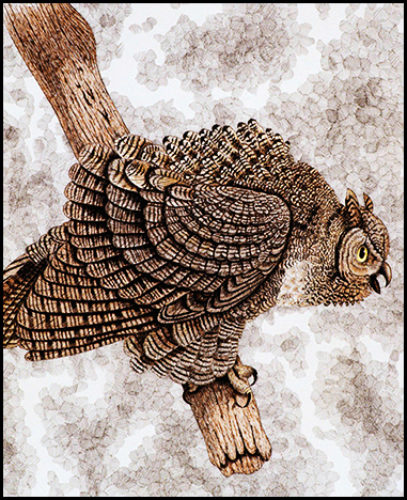 Owl Study #2 - Colored ink on paper, 14" x 17", 2003